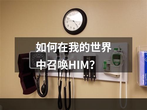 如何在我的世界中召唤HIM？