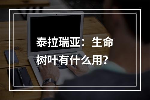 泰拉瑞亚：生命树叶有什么用？