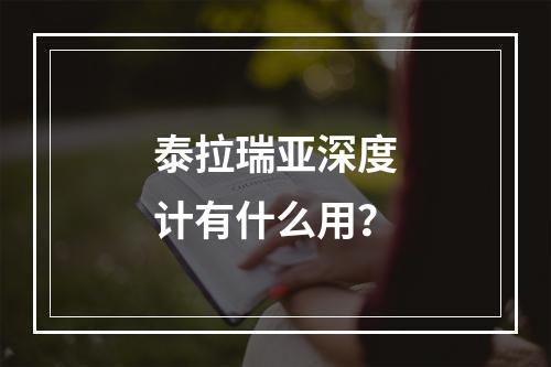 泰拉瑞亚深度计有什么用？