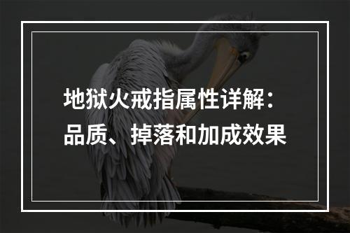 地狱火戒指属性详解：品质、掉落和加成效果