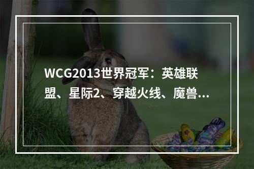 WCG2013世界冠军：英雄联盟、星际2、穿越火线、魔兽争霸赛冠军揭晓