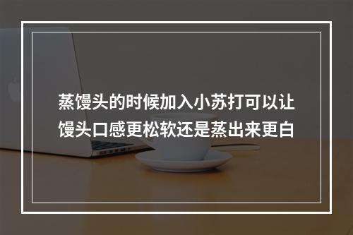 蒸馒头的时候加入小苏打可以让馒头口感更松软还是蒸出来更白