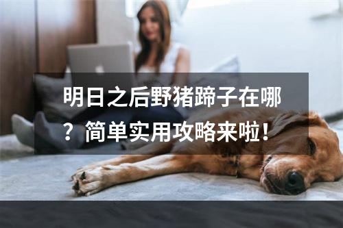 明日之后野猪蹄子在哪？简单实用攻略来啦！