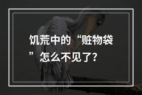 饥荒中的“赃物袋”怎么不见了？