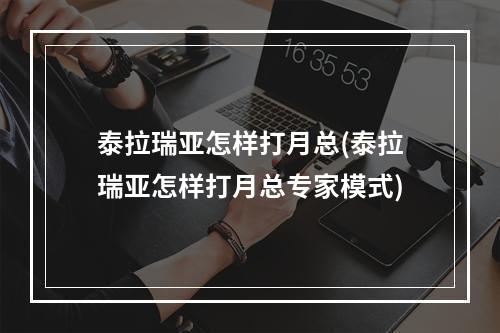 泰拉瑞亚怎样打月总(泰拉瑞亚怎样打月总专家模式)