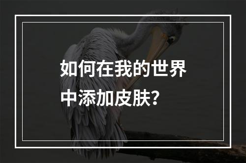 如何在我的世界中添加皮肤？