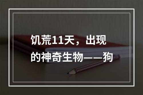 饥荒11天，出现的神奇生物——狗