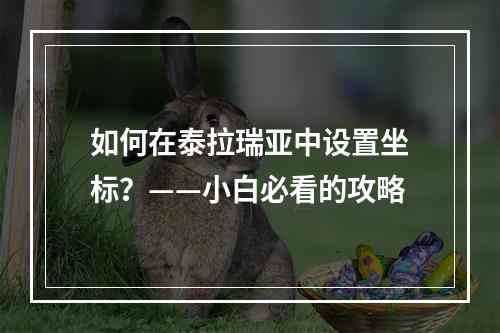 如何在泰拉瑞亚中设置坐标？——小白必看的攻略