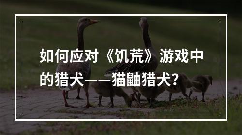 如何应对《饥荒》游戏中的猎犬——猫鼬猎犬？