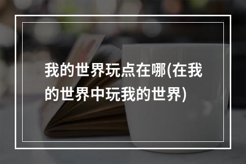 我的世界玩点在哪(在我的世界中玩我的世界)