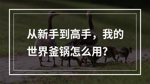 从新手到高手，我的世界釜锅怎么用？