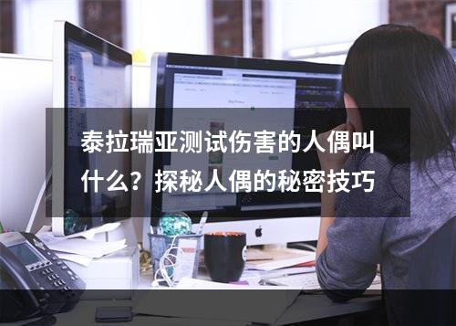 泰拉瑞亚测试伤害的人偶叫什么？探秘人偶的秘密技巧