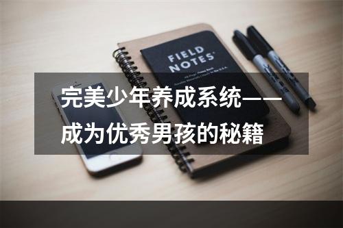 完美少年养成系统——成为优秀男孩的秘籍