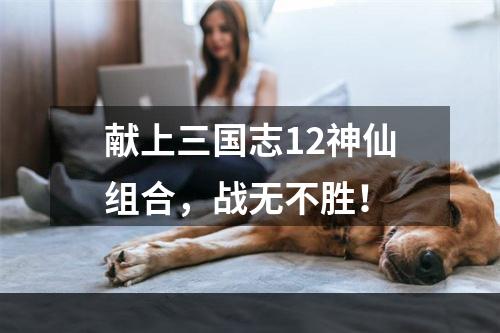 献上三国志12神仙组合，战无不胜！