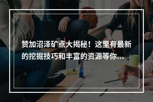 赞加沼泽矿点大揭秘！这里有最新的挖掘技巧和丰富的资源等你来！