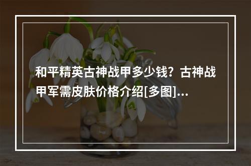 和平精英古神战甲多少钱？古神战甲军需皮肤价格介绍[多图]--安卓攻略网