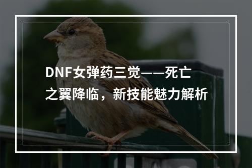 DNF女弹药三觉——死亡之翼降临，新技能魅力解析