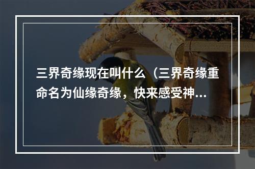 三界奇缘现在叫什么（三界奇缘重命名为仙缘奇缘，快来感受神魔世界的奇遇）