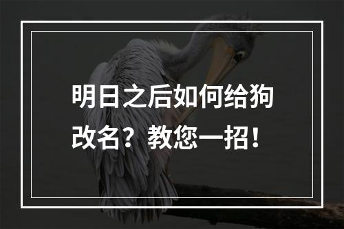 明日之后如何给狗改名？教您一招！