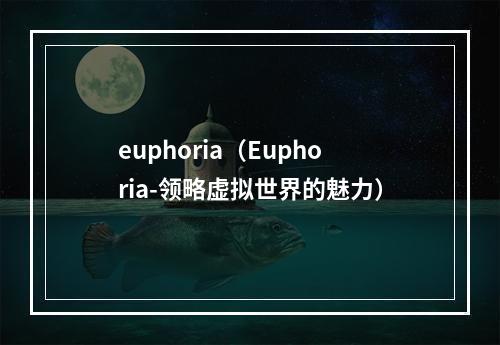 euphoria（Euphoria-领略虚拟世界的魅力）