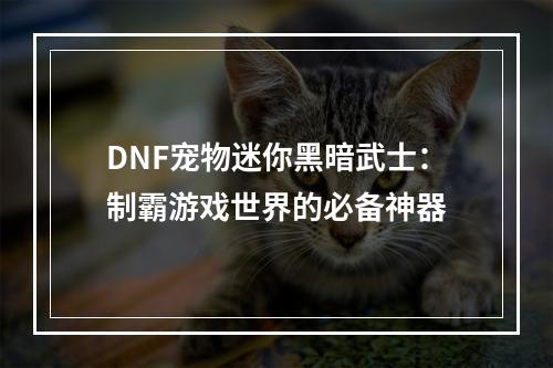 DNF宠物迷你黑暗武士：制霸游戏世界的必备神器