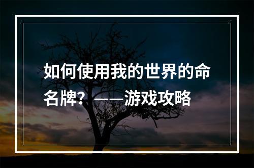 如何使用我的世界的命名牌？——游戏攻略