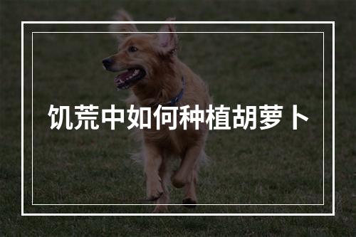 饥荒中如何种植胡萝卜