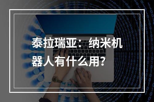 泰拉瑞亚：纳米机器人有什么用？