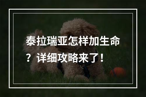 泰拉瑞亚怎样加生命？详细攻略来了！