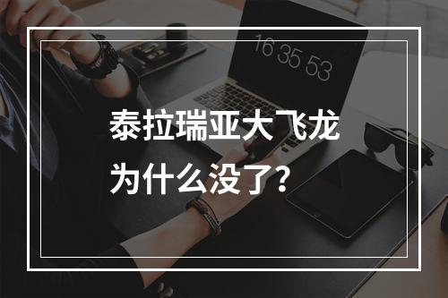 泰拉瑞亚大飞龙为什么没了？