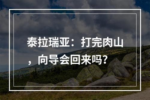 泰拉瑞亚：打完肉山，向导会回来吗？