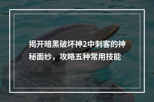 揭开暗黑破坏神2中刺客的神秘面纱，攻略五种常用技能