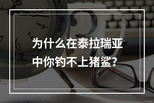 为什么在泰拉瑞亚中你钓不上猪鲨？