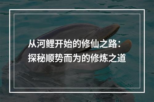 从河鲤开始的修仙之路：探秘顺势而为的修炼之道