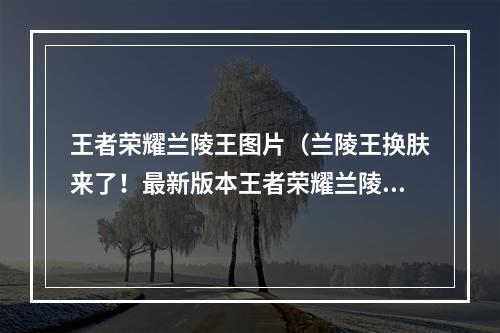 王者荣耀兰陵王图片（兰陵王换肤来了！最新版本王者荣耀兰陵王皮肤、配音、特效详解）