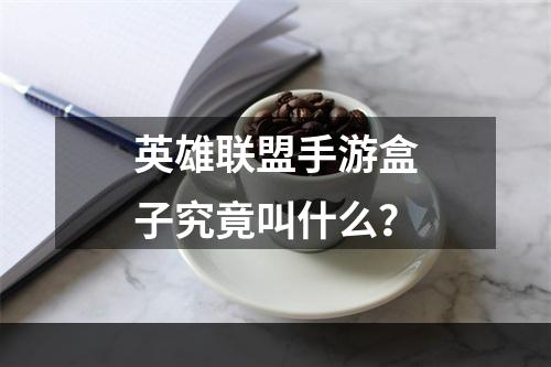 英雄联盟手游盒子究竟叫什么？