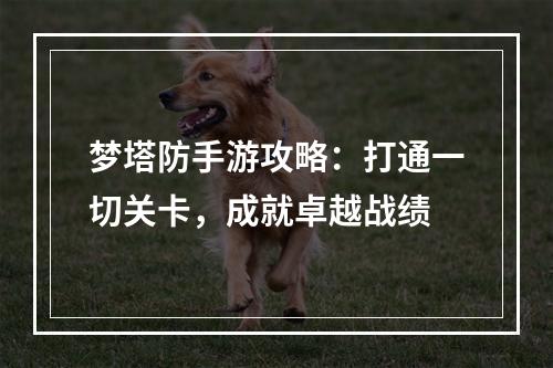 梦塔防手游攻略：打通一切关卡，成就卓越战绩