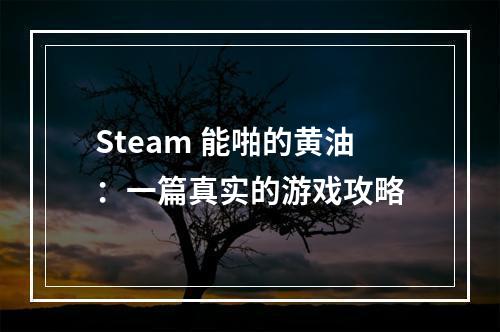 Steam 能啪的黄油：一篇真实的游戏攻略