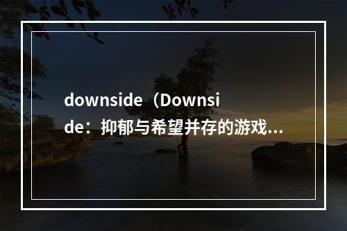 downside（Downside：抑郁与希望并存的游戏世界）