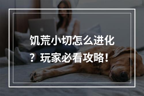 饥荒小切怎么进化？玩家必看攻略！