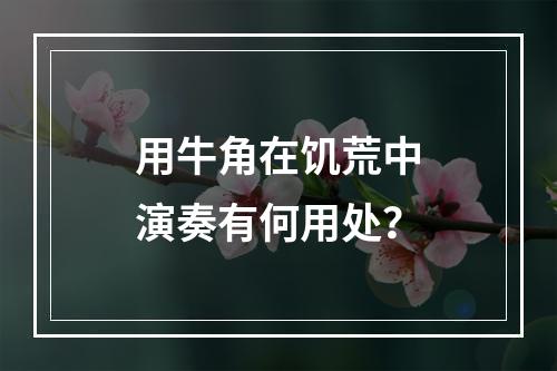 用牛角在饥荒中演奏有何用处？