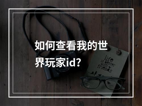 如何查看我的世界玩家id？