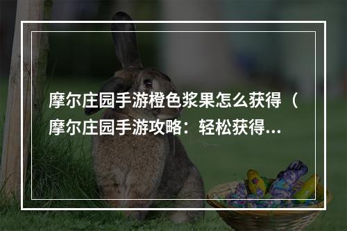 摩尔庄园手游橙色浆果怎么获得（摩尔庄园手游攻略：轻松获得橙色浆果）