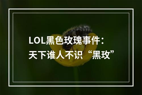 LOL黑色玫瑰事件：天下谁人不识“黑玫”