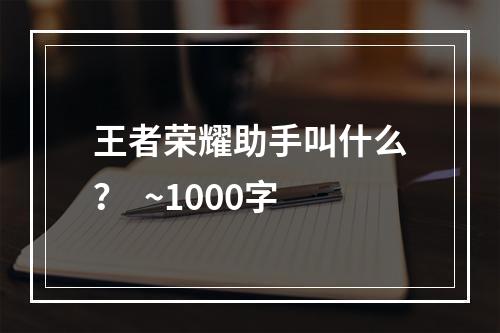 王者荣耀助手叫什么？  ~1000字