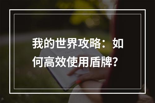 我的世界攻略：如何高效使用盾牌？