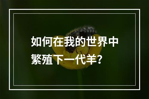 如何在我的世界中繁殖下一代羊？