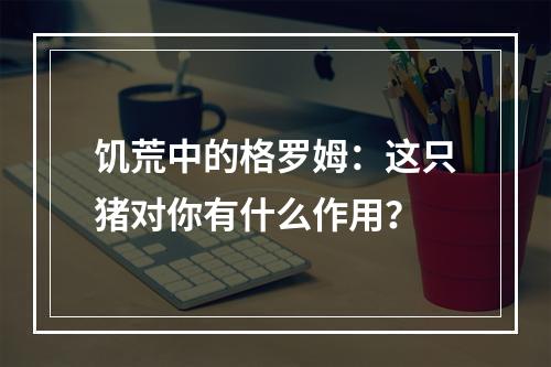 饥荒中的格罗姆：这只猪对你有什么作用？