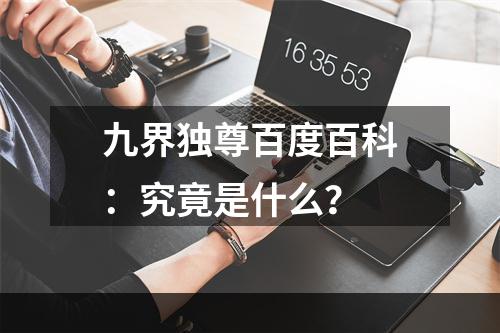 九界独尊百度百科：究竟是什么？