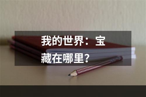 我的世界：宝藏在哪里？